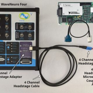 WaveNeuro Four Plus Bundle with 4-Channel Headstage Kit